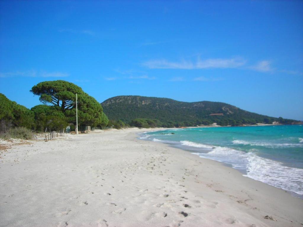 Villa Largia Porto Vecchio - A 5 Min Des Plages De Palombaggia - Calme- Climatisation Exterior photo